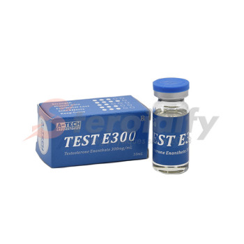 TEST E300